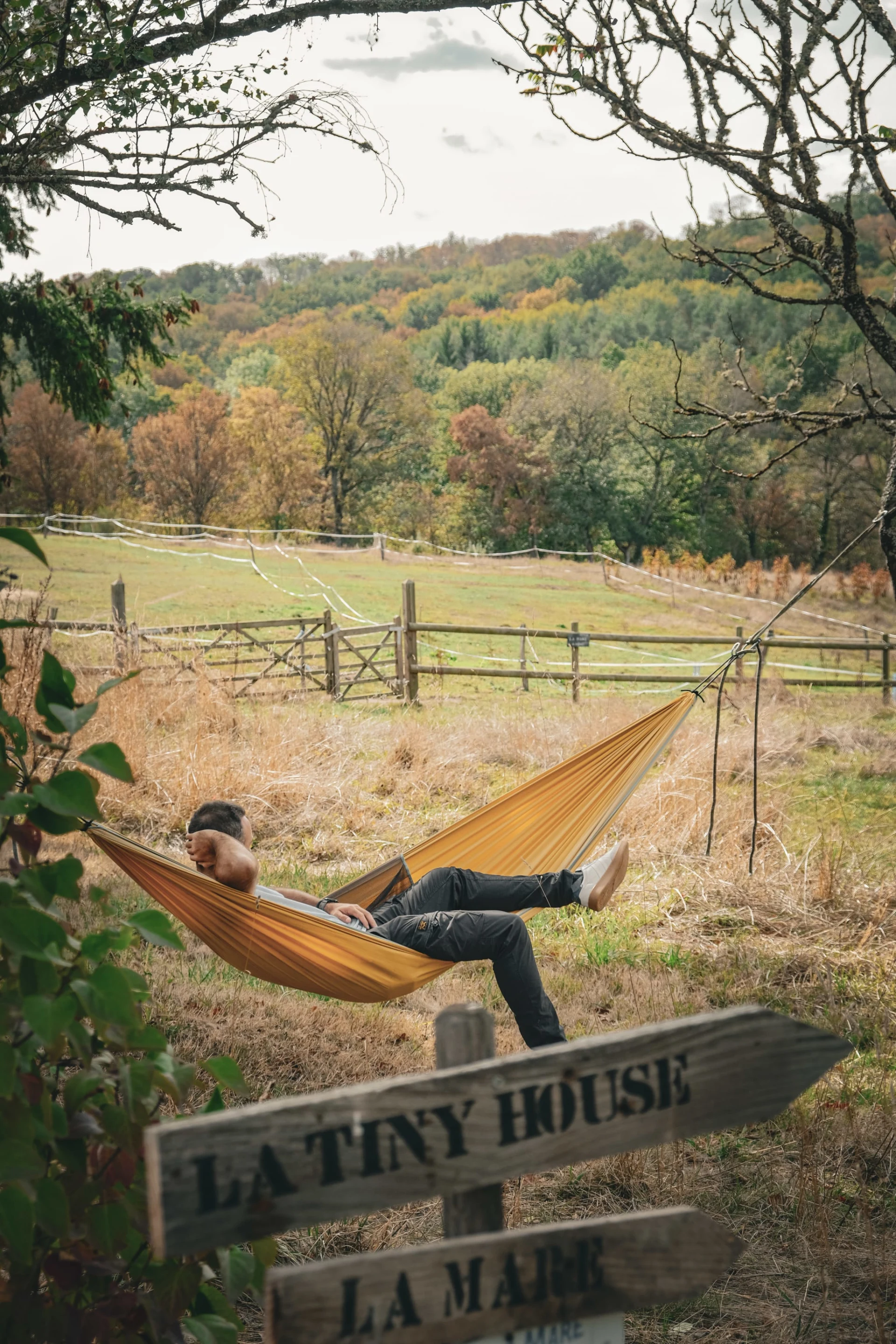 zegpq3ejlnurpdwrazsn