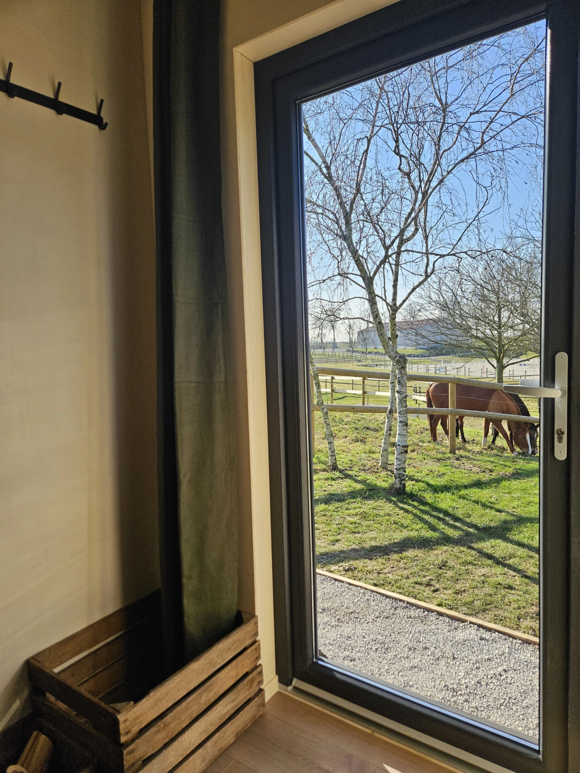 Chevaux devant la porte d'entrée de la tiny house le haras