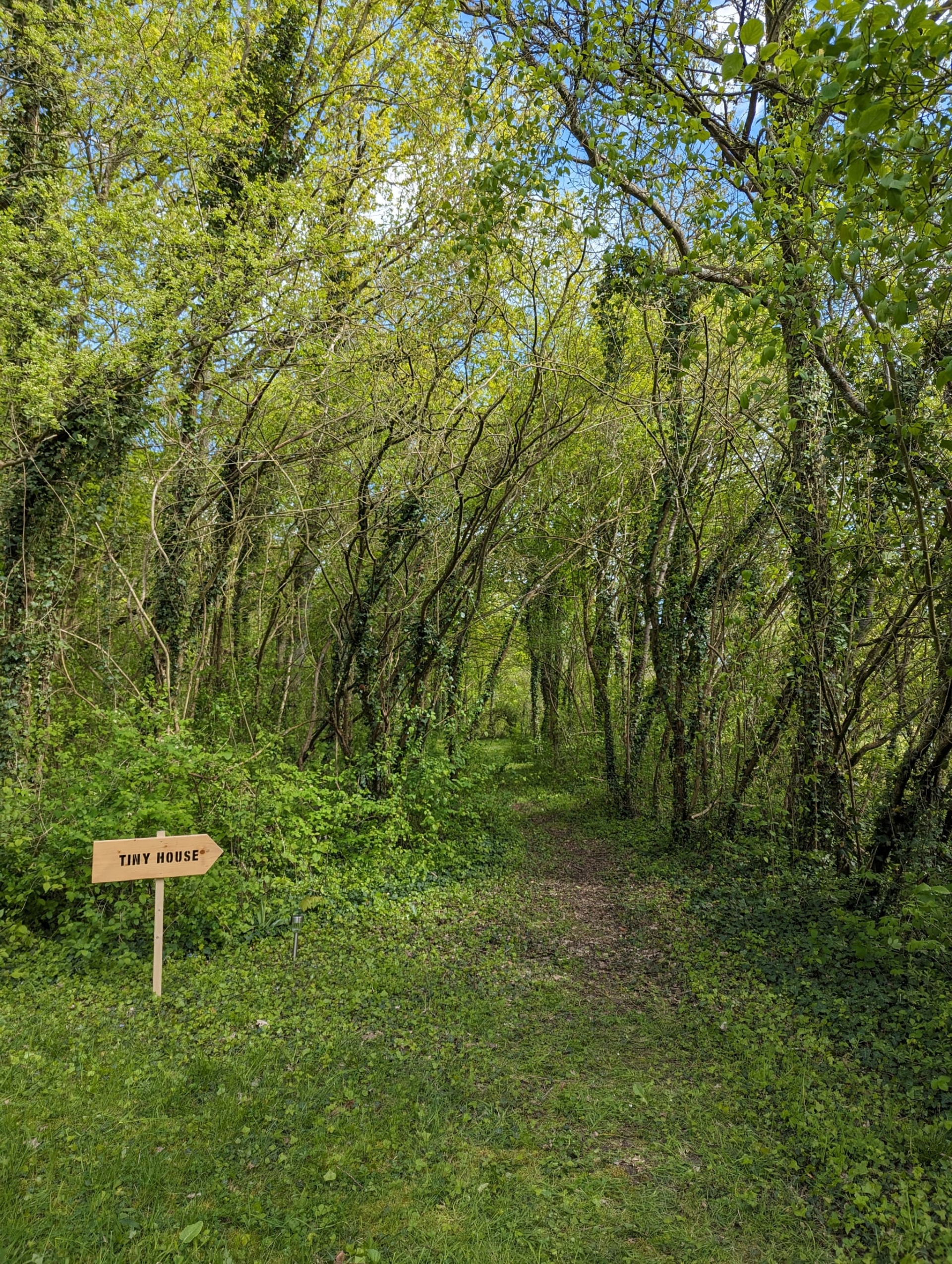 fhgldvhf5yfzrousshaq