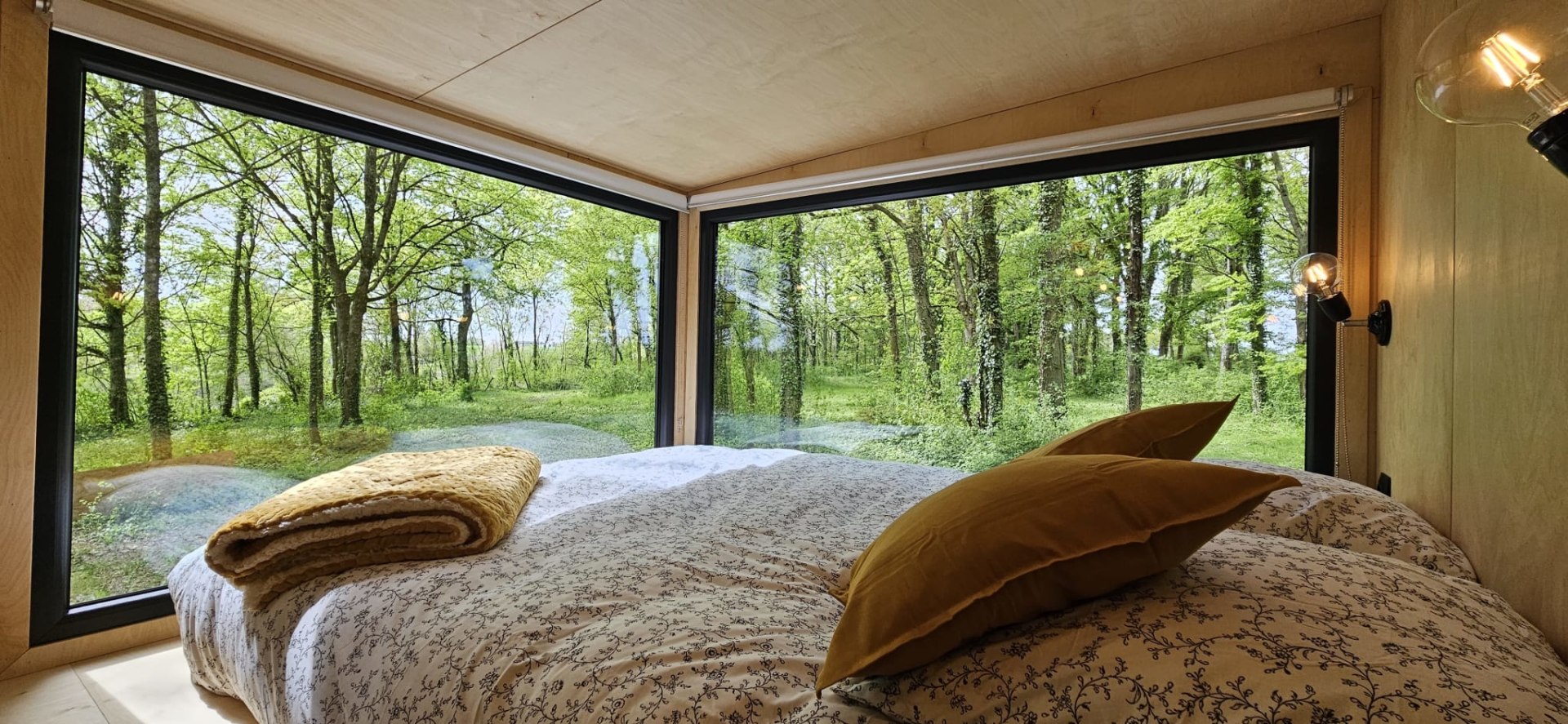 hjnercmdu4v55mxoangr