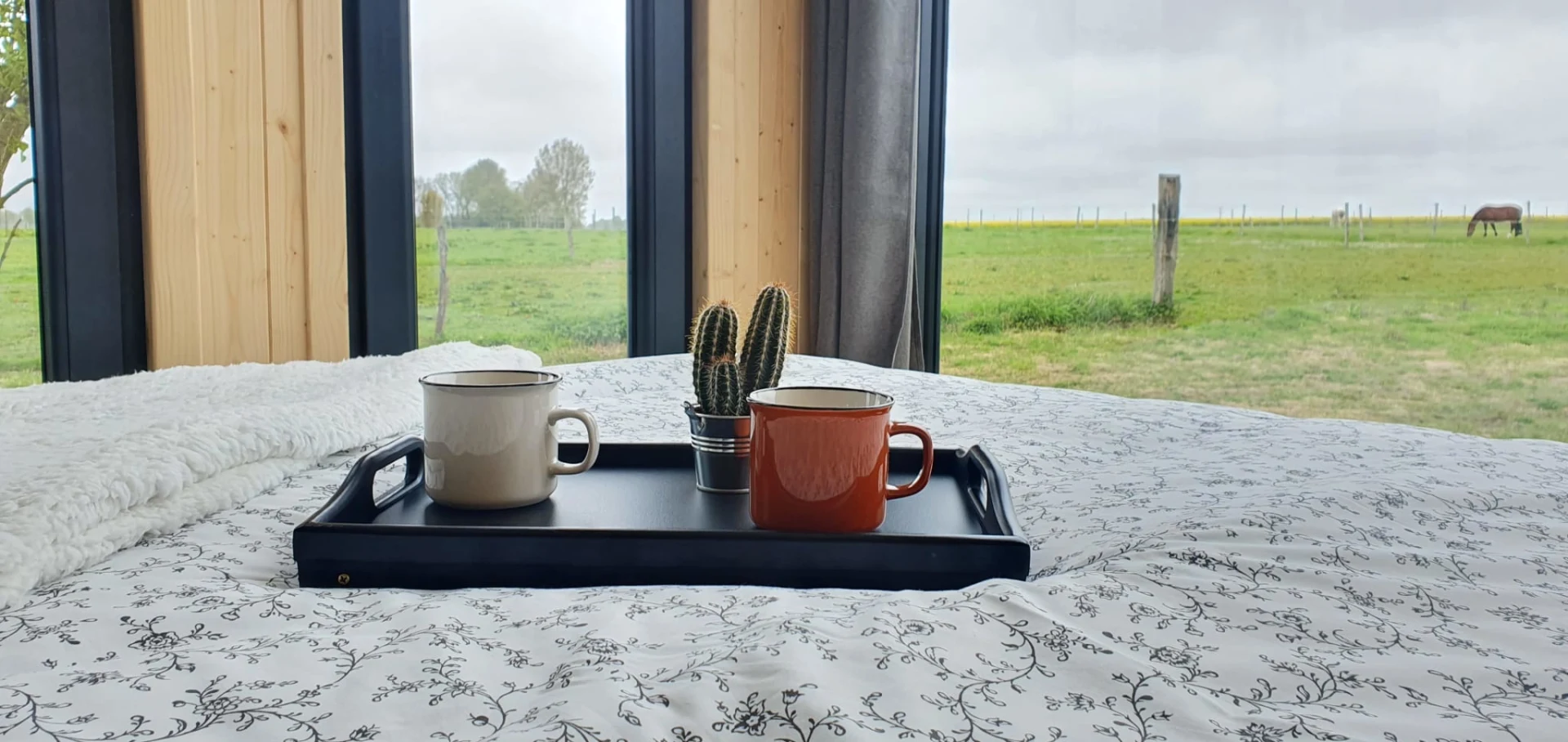 i0ourcqfp83wrw9md1ss