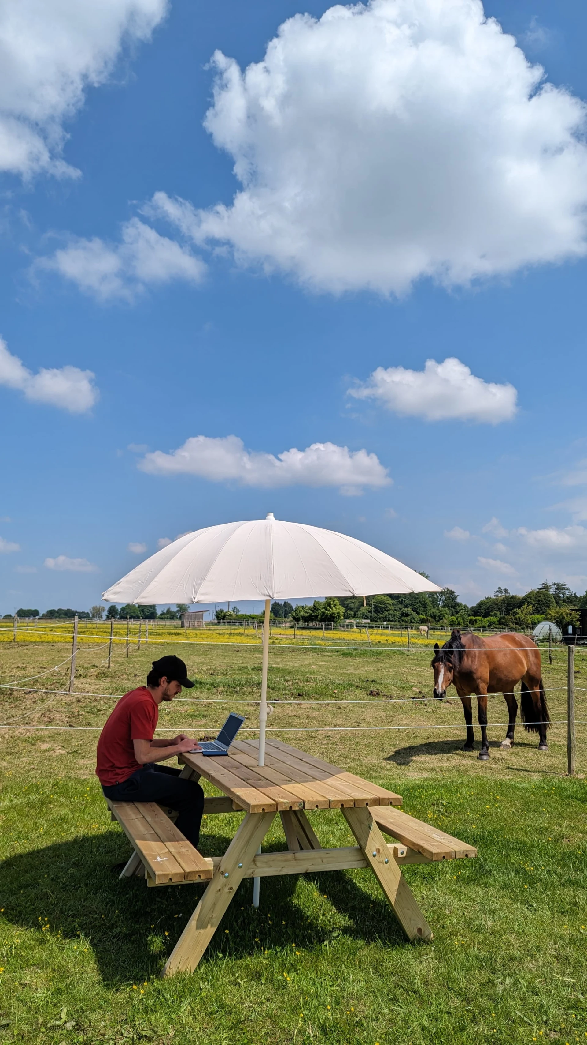 ldptya5aeae5ajqk7cml