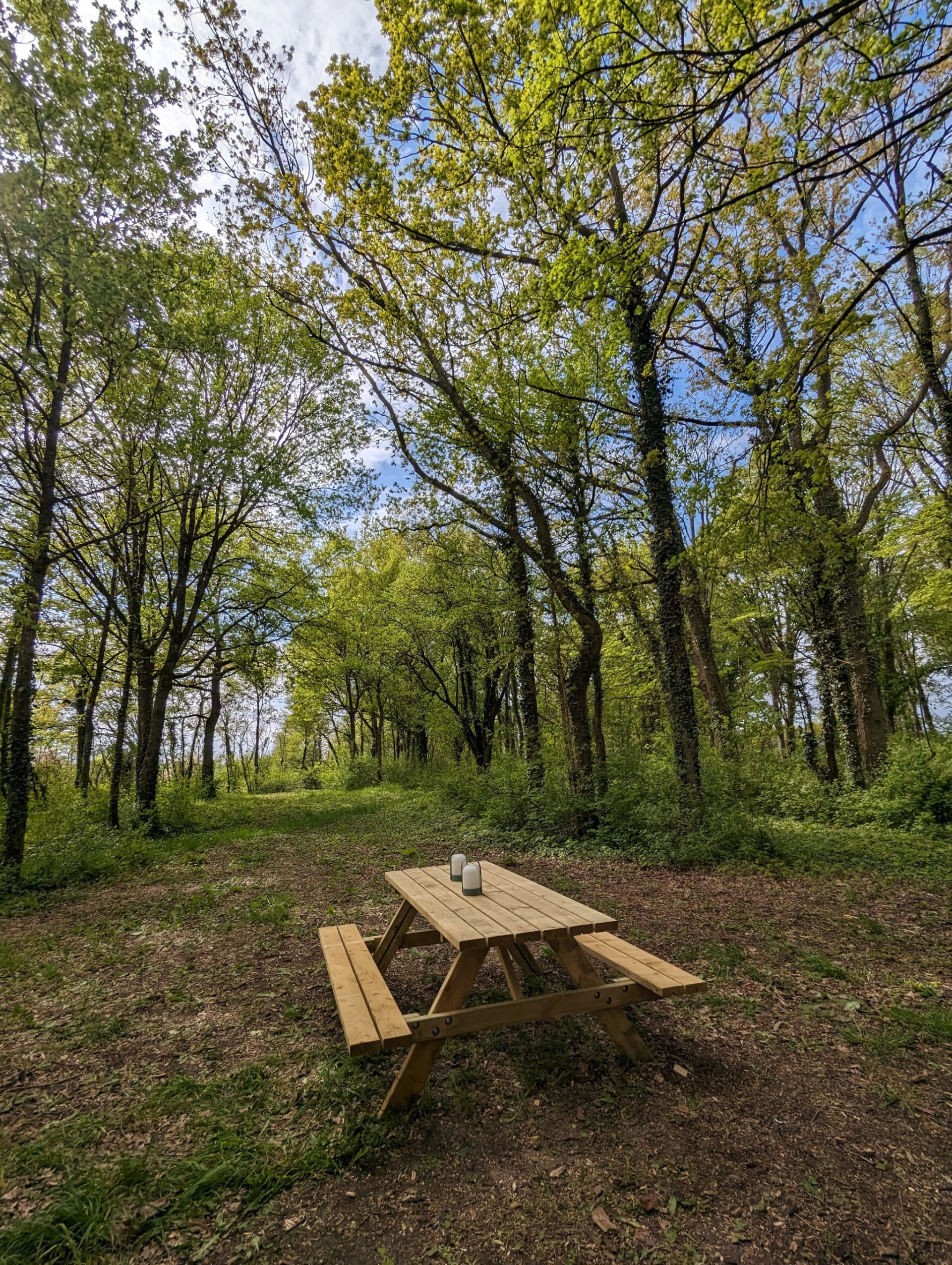 lytxbm0mhcsjkny5bkcc