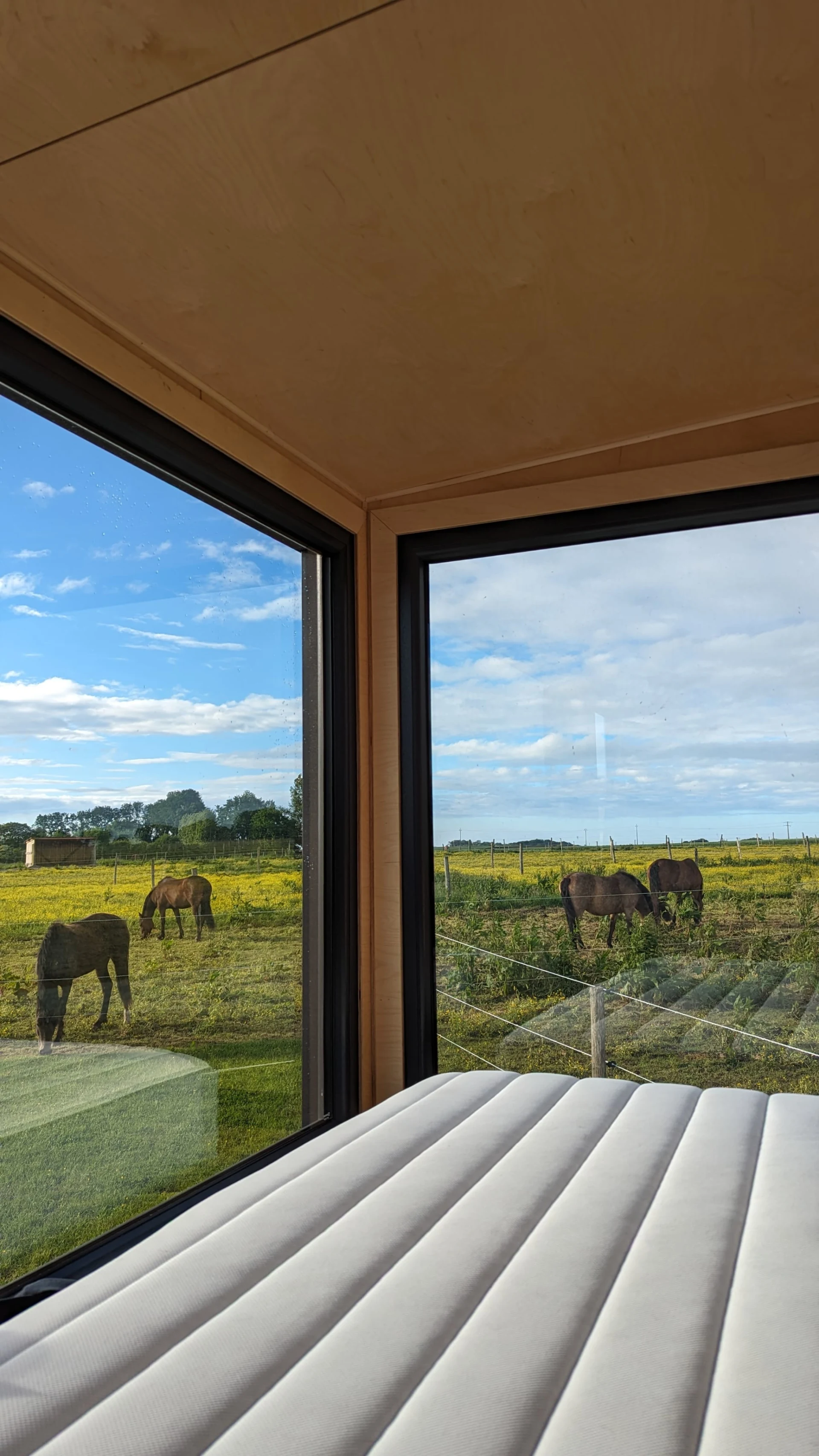 nurkb8kjnm7flv4ehwhl