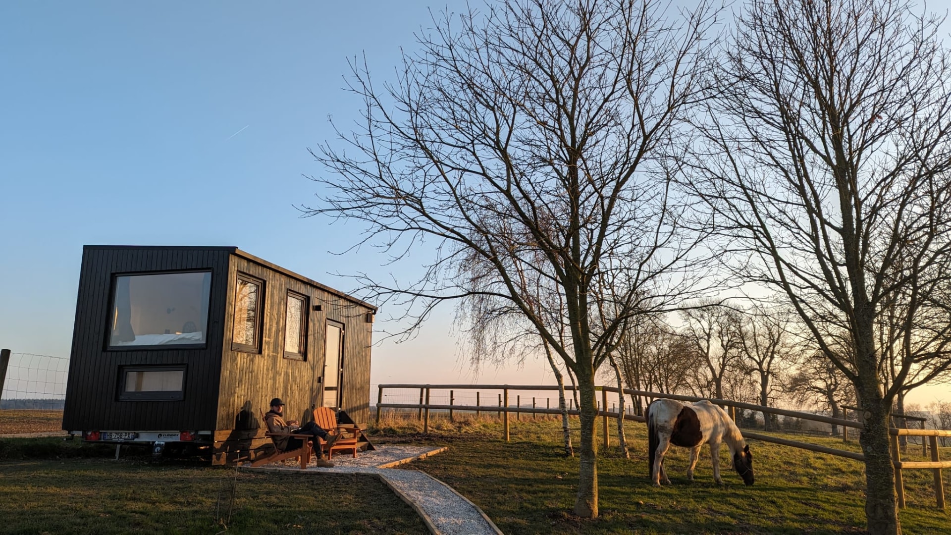 Chevaux devant la tiny house le haras au coucher de soleil sur la nature