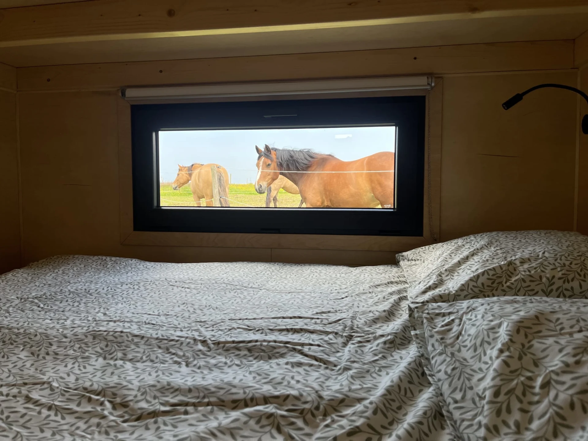 pyynjei39xefikwsiass