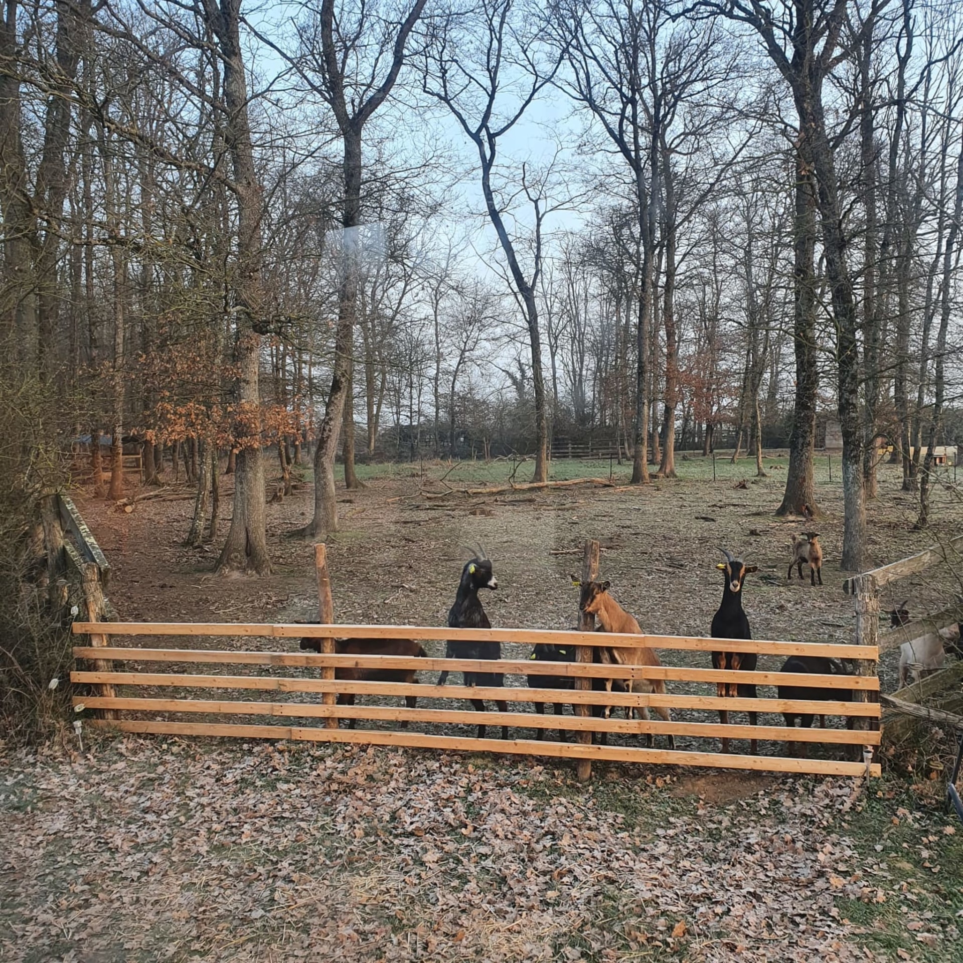 rs5ua4cbd5xlmotlsjmh