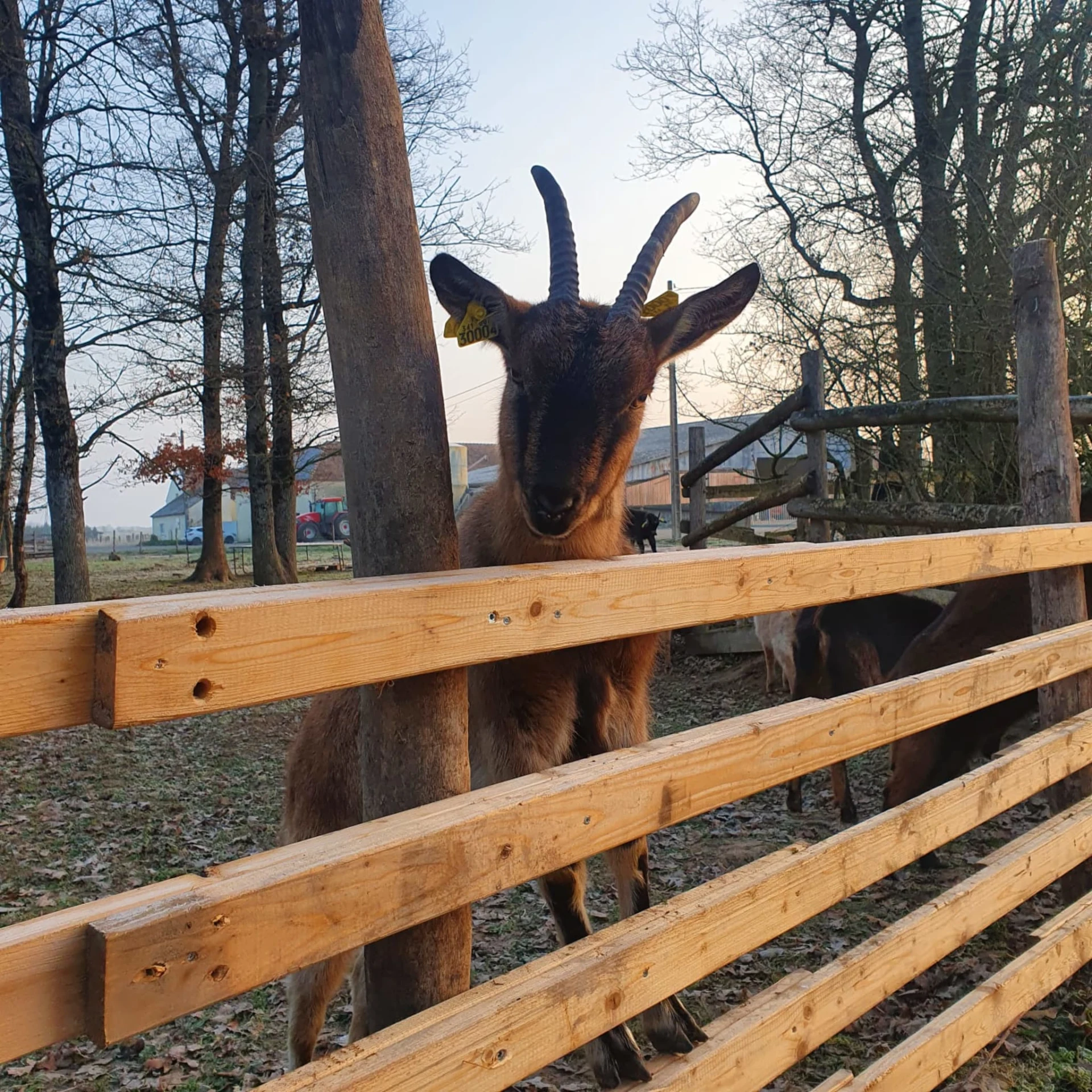 wicfecx9gy4nepaswkpj