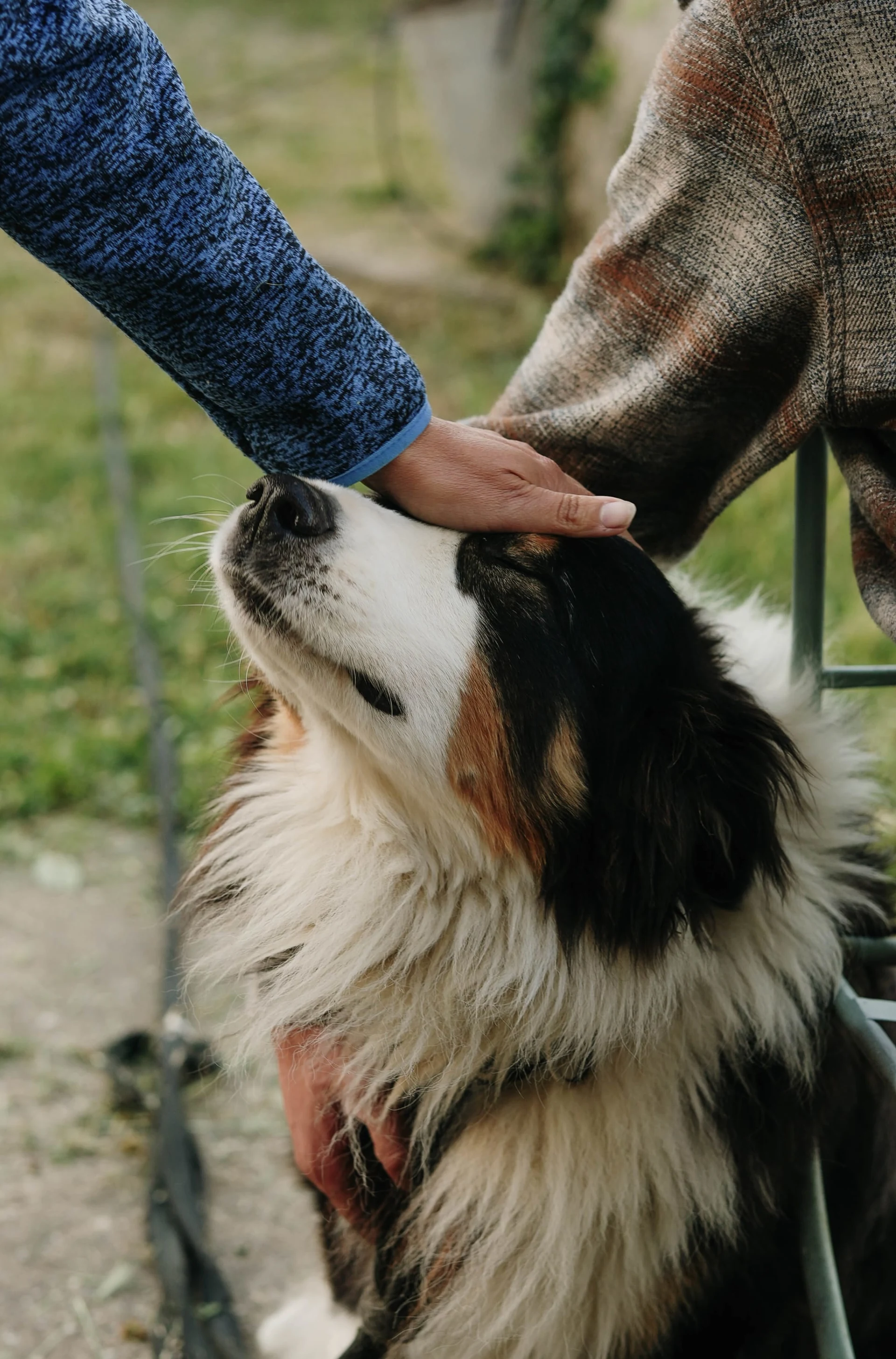 x8vfsyxxzu6sojcwqlem