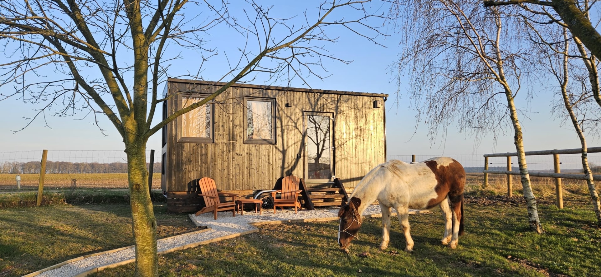 Tiny House le haras au coucher du soleil avec un cheval devant, le ciel est bleu