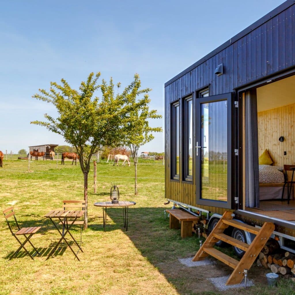 Tiny House l'Écurie ensoleillé avec des chevaux
